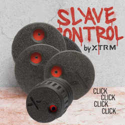 TORTURE SLAVE CONTROL
